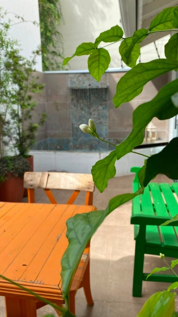whatsapp image 2026 08 05 at 15.17.01 (1)
